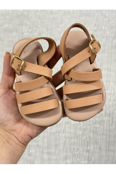 ΝΟΥΜΕΡΟ 20 ανατομικό