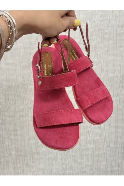 ΝΟΥΜΕΡΟ 31 ανατομικό